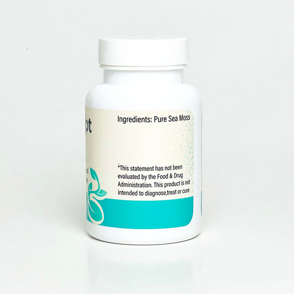 Sea Moss – Zerasculpt